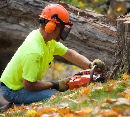 tree services Aulander